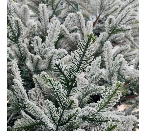 დათოვლილი ნაძვის ხე 210 სმ SP2375-210 NORWAY