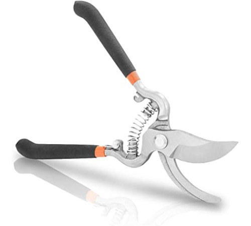 საბაღე ნაკრები N2