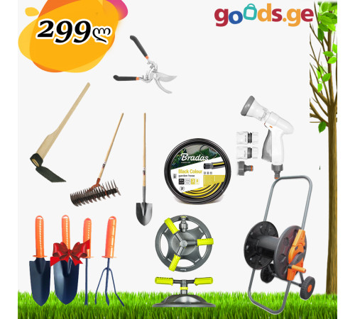 საბაღე ნაკრები N2