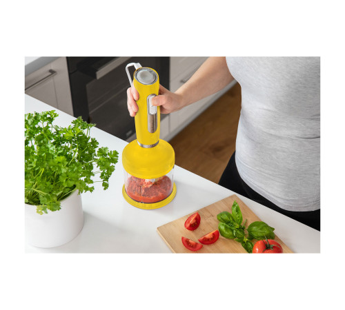 ჩასატვირთი ბლენდერი SENCOR SHB 4466YL