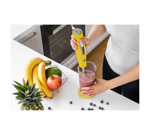 ჩასატვირთი ბლენდერი SENCOR SHB 4466YL