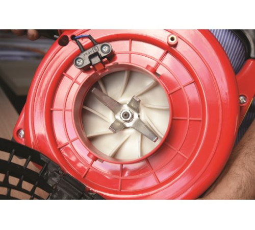 ჰაერსაბერი ბაღის ბენზინის RAIDER RD-GBV05 750W (077401)