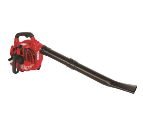 ჰაერსაბერი ბაღის ბენზინის RAIDER RD-GBV05 750W (077401)