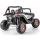 საბავშვო ელექტრო მანქანა BUGGY XMX603 UTV-MX
