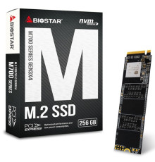 მყარი დისკი Biostar 256GB M2 (M700256GB)