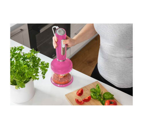 ჩასატვირთი ბლენდერი SENCOR SHB 4468RS