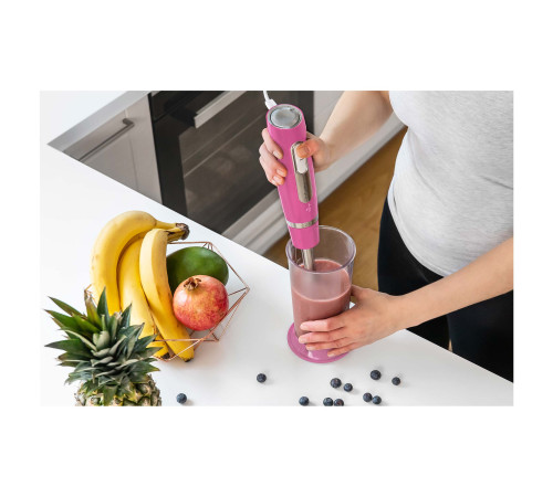 ჩასატვირთი ბლენდერი SENCOR SHB 4468RS