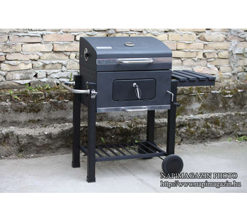 ბაღის გრილი FIELDMANN FZG 1008