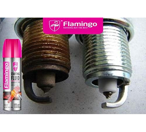 საბურავის საწმენდი ქაფი FLAMINGO F002