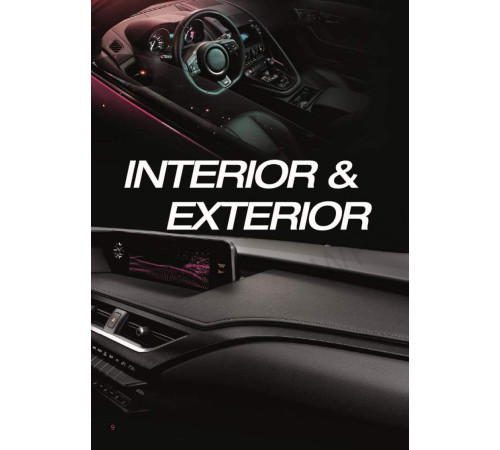 ინჟექტორისა და საწვავის სისტემის გამწმენდი FLAMINGO  F006