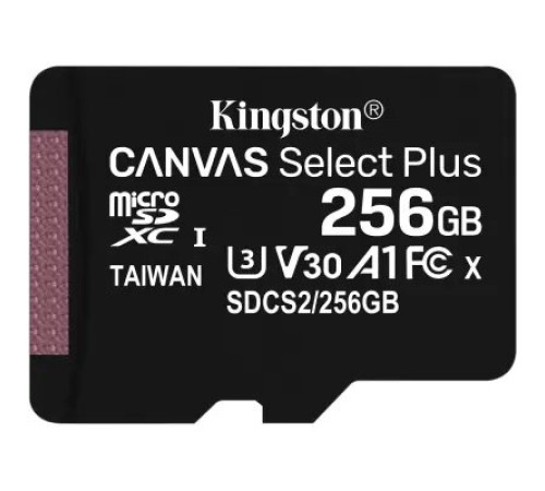 ფლეშ მეხსიერება Kingston 256GB (Single pack w/o adapter)