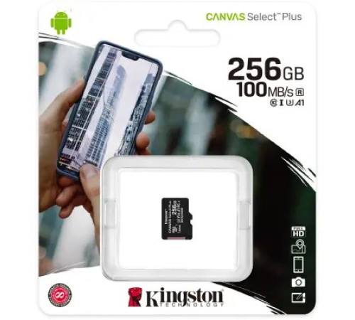 ფლეშ მეხსიერება Kingston 256GB (Single pack w/o adapter)