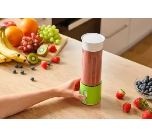 ბლენდერი SBL 131GR