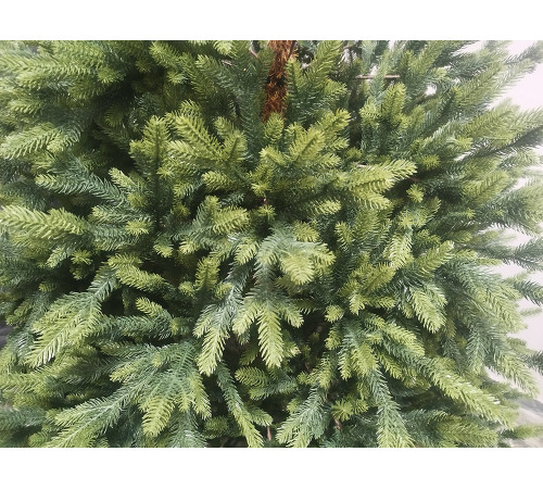 მწვანე ნაძვის ხე 180 სმ SPE2333-180