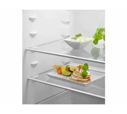 მაცივარი Electrolux RNT6NE18S